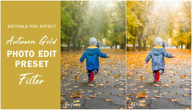 Filtro de fotos psd autumn gold preestablecido para autumn photography golden filters