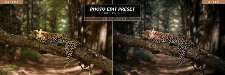 PSD filtro predefinido editável de edição de fotos do instagram para portfólio de fotografia de vida selvagem