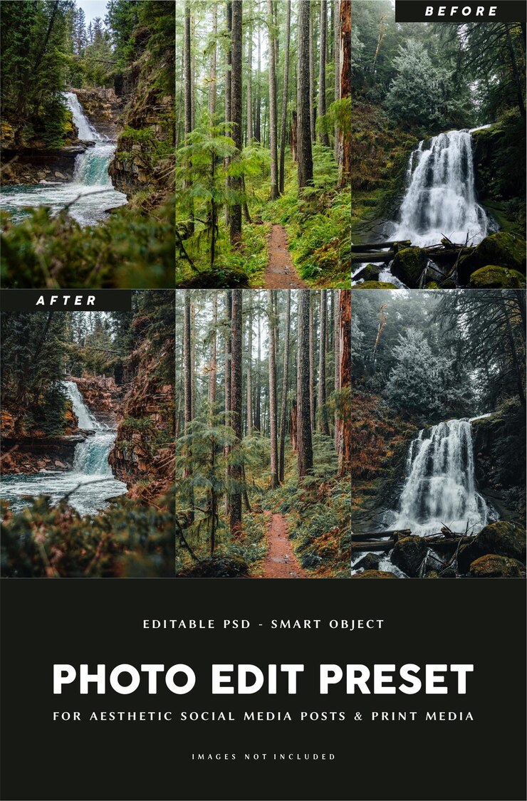 PSD filtro preestablecido de edición de fotos moody para fotografía de selva forestal