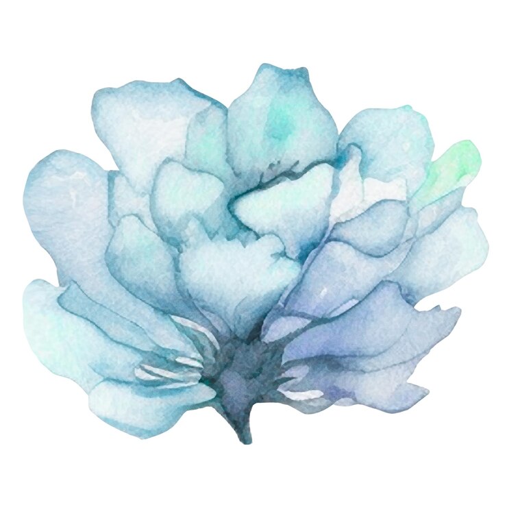 Fiore dipinto ad acquerello Elementi di design di fiori disegnati a mano isolati su sfondo bianco