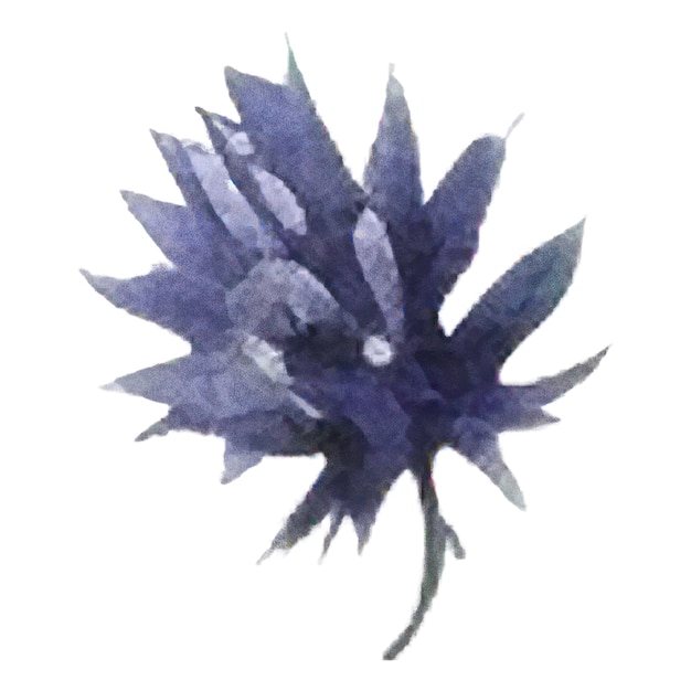 Fiore dipinto ad acquerello Elementi di design di fiori disegnati a mano isolati su sfondo bianco