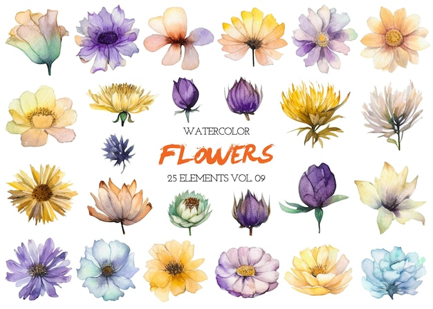Fiore dipinto ad acquerello Elementi di design di fiori disegnati a mano isolati su sfondo bianco