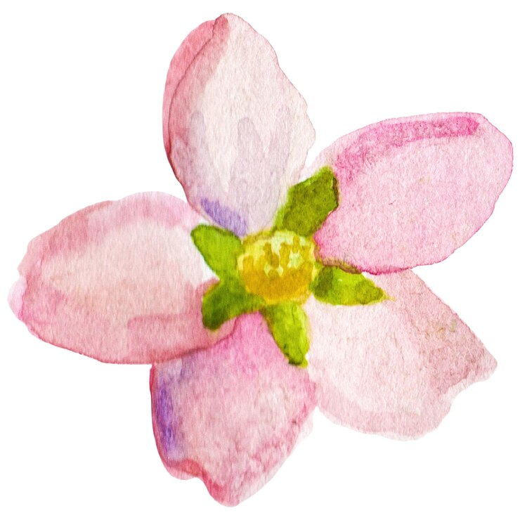 PSD fiore dipinto ad acquerello elemento di design di fiore disegnato a mano isolato su uno sfondo trasparente