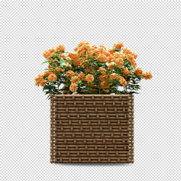 Fiore in vaso nella rappresentazione 3d isolata