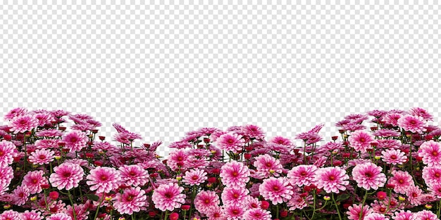 Fiore nel rendering 3d isolato