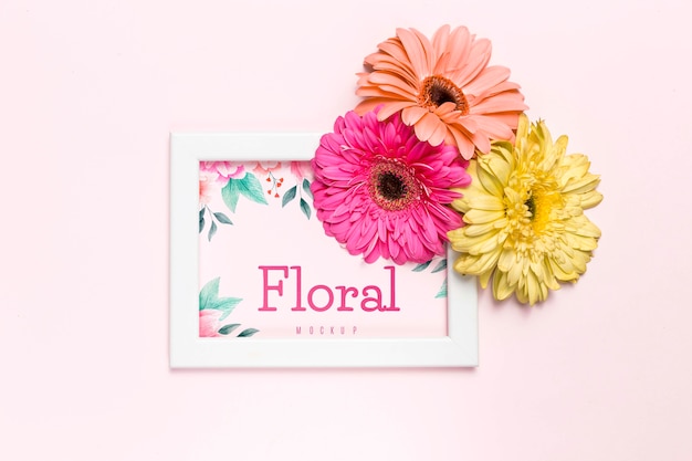 Fiori colorati su telaio bianco