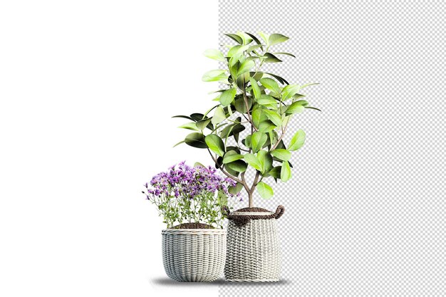 Fiori delle piante in vaso nella rappresentazione 3d isolata