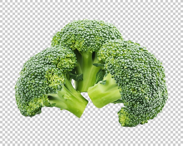 Fiori di broccoli grezzi organici sani pronti per la cottura sfondo trasparente PNG