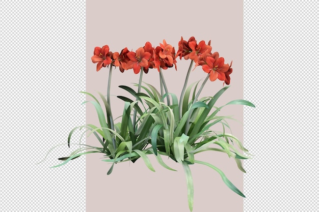 Fiori di colore isolati nel rendering 3d isolati