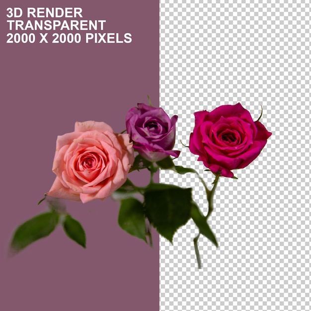 Fiori di San Valentino
