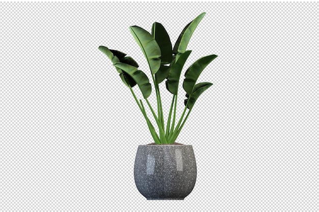 Fiori in vaso nel rendering 3d isolati