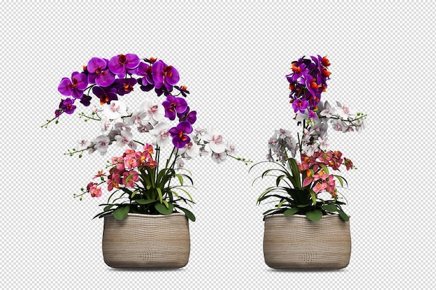 Fiori in vaso nella rappresentazione 3d isolata