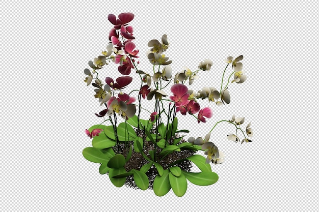 Fiori nella rappresentazione 3d isolata