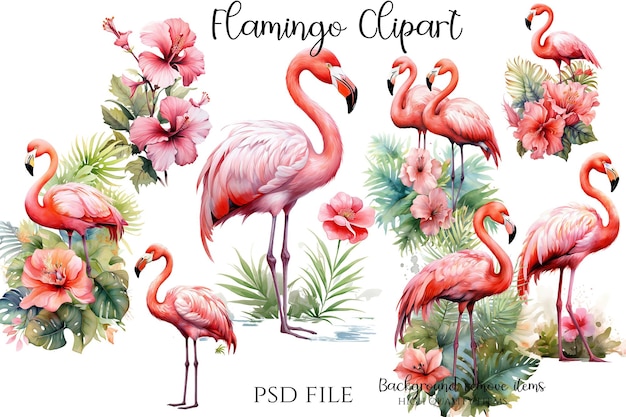 PSD flamant rose clipart