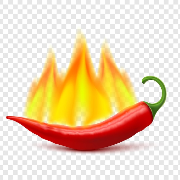 Flaming Hot Chili Pepper Pod Image isolated on transparent background