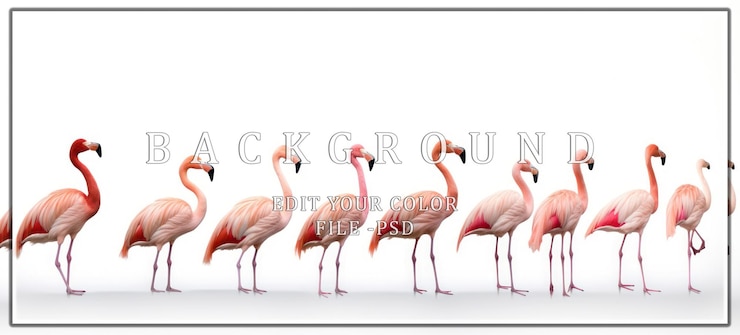 PSD flamingos rosados en una fila sobre un fondo blanco