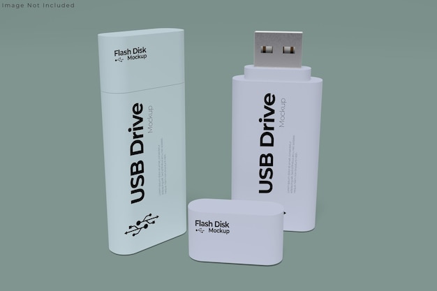 Flash-Disk-Mockup