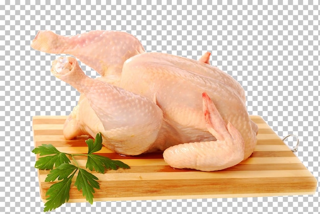 Fleischfutter