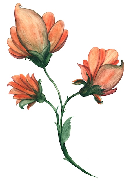 Une fleur bleue délicate avec des pétales minces et une peinture à l'aquarelle de couleur vive et vive faite à la main