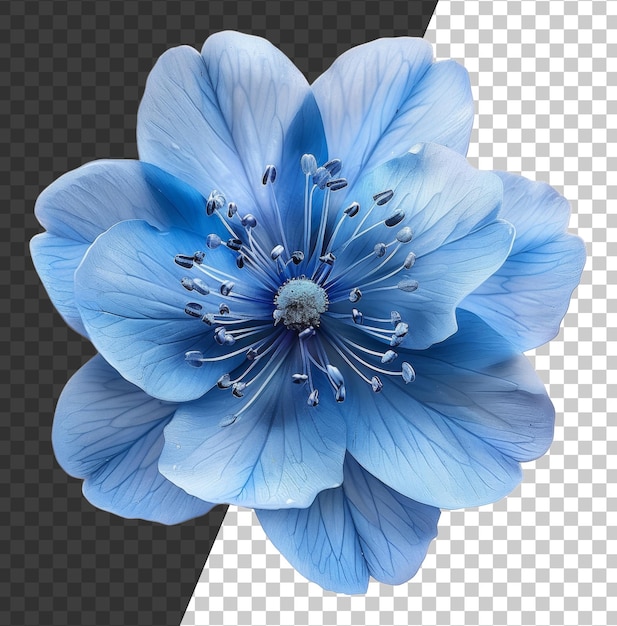 PSD fleur bleue vibrante avec des pétales complexes sur un fond transparent
