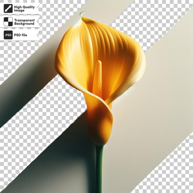 PSD fleur de calla jaune psd sur fond transparent avec couche de masque modifiable