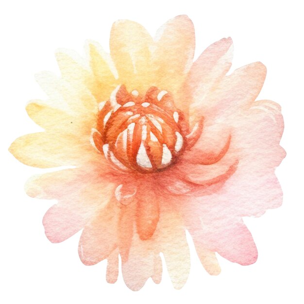 PSD fleur de dahlia peinte à l'aquarelle elément de conception dessiné à la main isolé sur un fond transparent