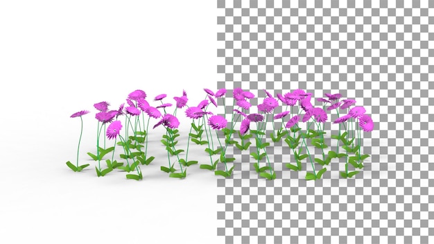 Fleur De Dahlia Rose Avec Rendu 3d De L'ombre