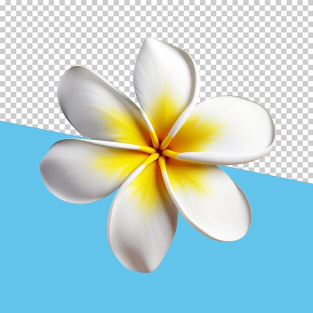 PSD fleur de frangipanier