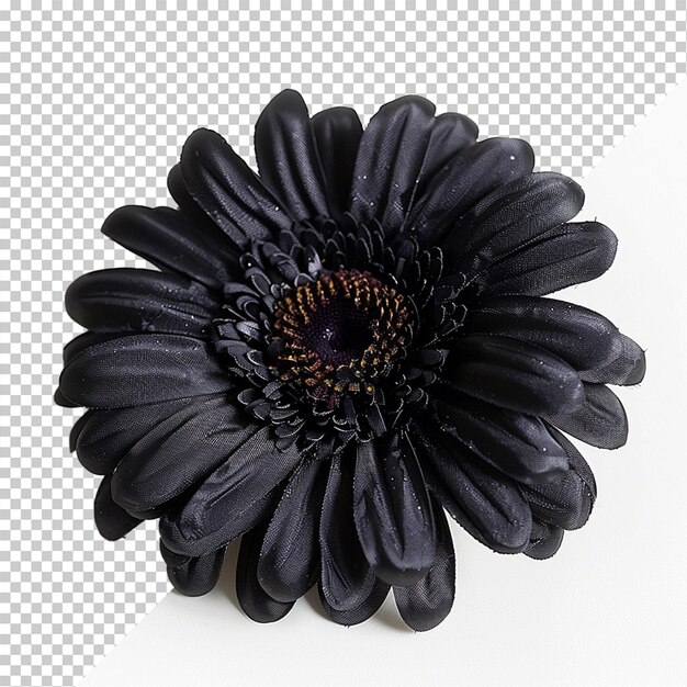 PSD une fleur isolée sur un fond transparent