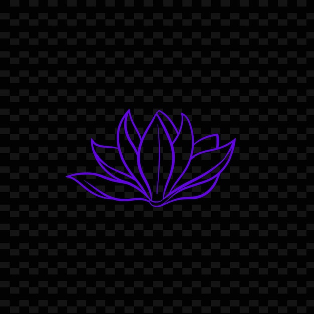 Fleur De Lotus Sur Un Fond Noir