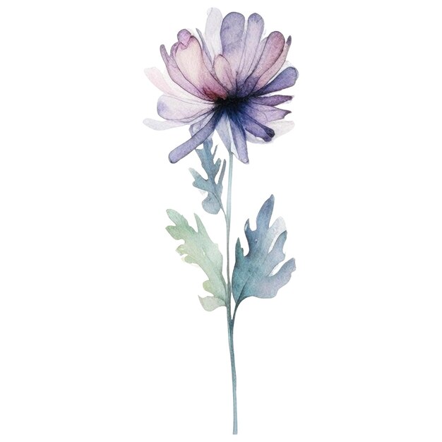 PSD fleur peinte à l'aquarelle éléments de conception de fleurs dessinés à la main isolés sur fond blanc