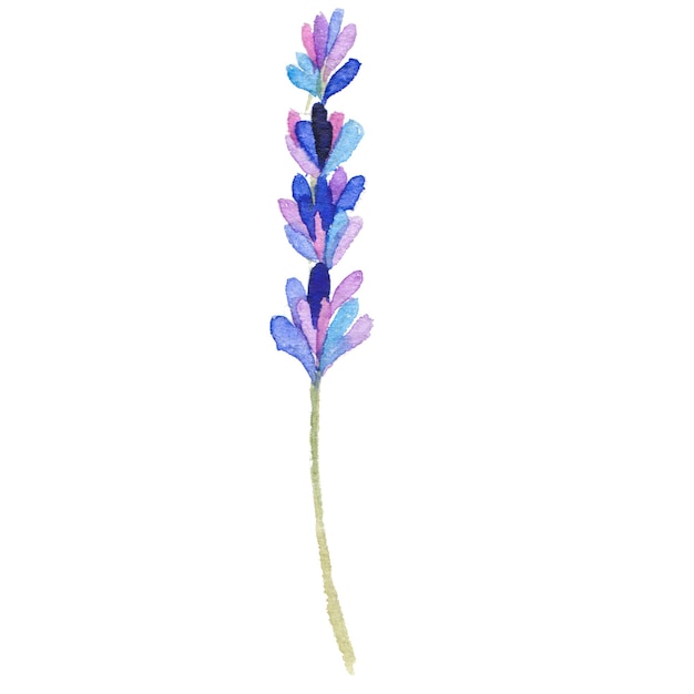 PSD fleur peinte à l'aquarelle éléments de conception de fleurs dessinés à la main isolés sur fond blanc