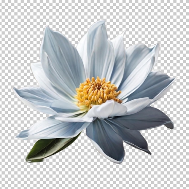 PSD une fleur png psd.