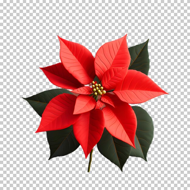 PSD fleur de poinsettia isolée sur un fond transparent