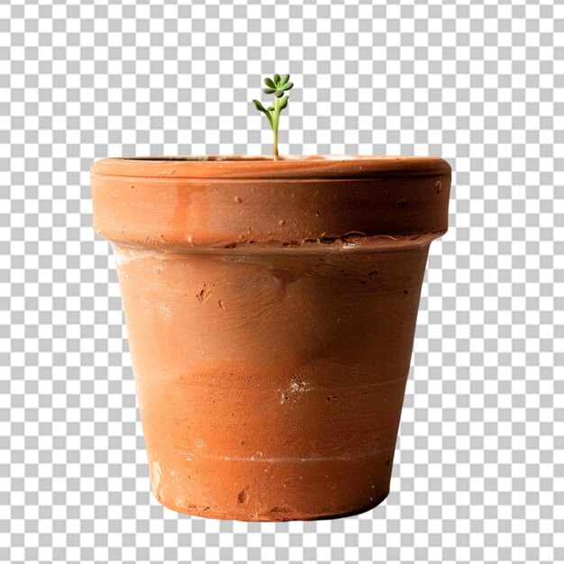 PSD fleur de pot isolée sur un fond transparent