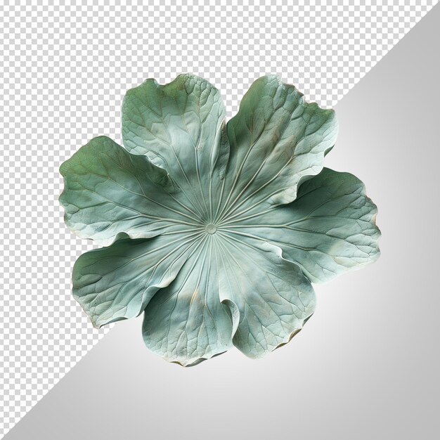 PSD une fleur verte avec une feuille verte dessus