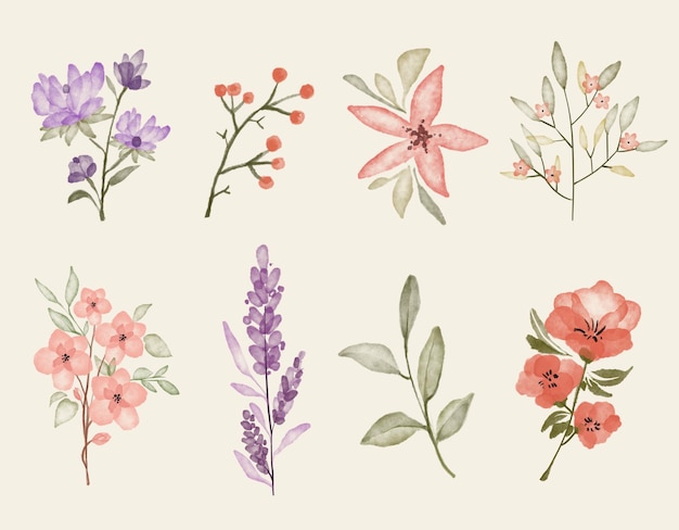 PSD des fleurs à l'aquarelle