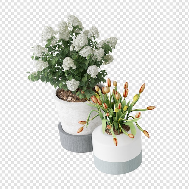 Fleurs de beauté en pot en rendu 3d isolé