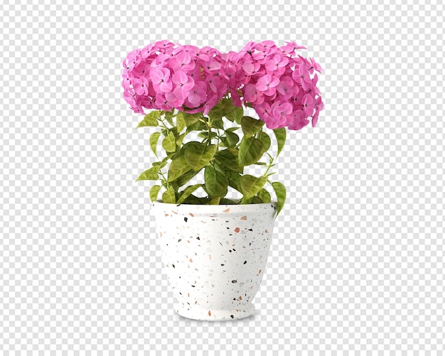 PSD fleurs dans un vase en rendu 3d isolé