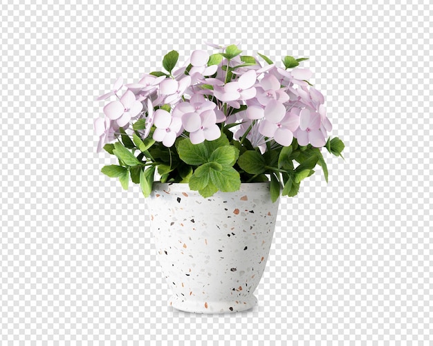 PSD fleurs dans un vase en rendu 3d isolé