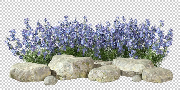 PSD fleurs en fleurs et composition de roches, arrière-plans découpés, rendu 3d