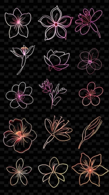 PSD des fleurs sur un fond transparent