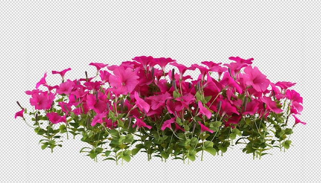 PSD fleurs isolées en rendu 3d