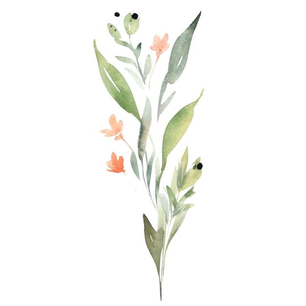 Des fleurs de pêche à l'aquarelle dessinées à la main isolées sur un fond blanc