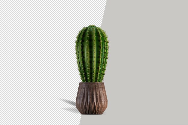 Fleurs de plantes en pot en rendu 3D isolé