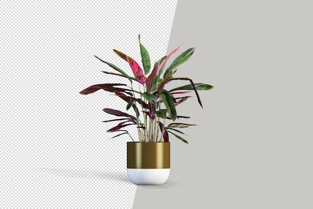 Fleurs De Plantes En Pot En Rendu 3d Isolé