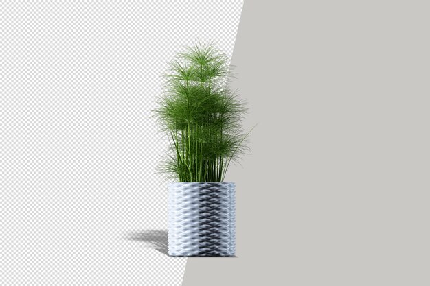 Fleurs De Plantes En Pot En Rendu 3d Isolé