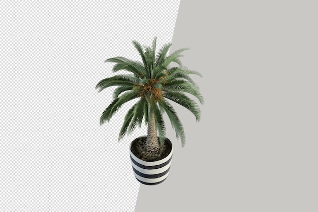 Fleurs De Plantes En Pot En Rendu 3d Isolé