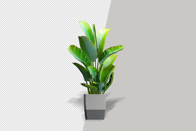 Fleurs de plantes en pot en rendu 3D isolé