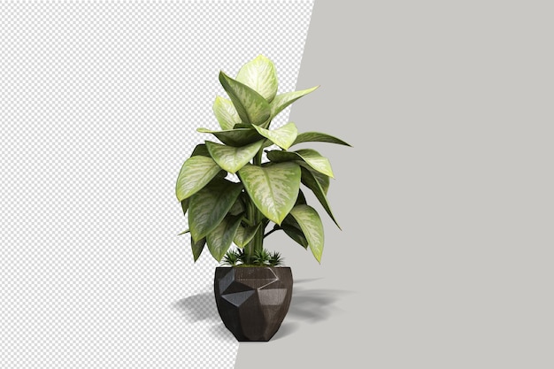 Fleurs de plantes en pot en rendu 3D isolé